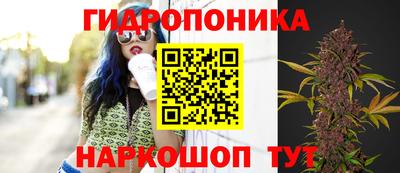 эйфоретик Будённовск