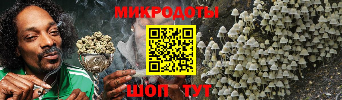 Славянск-на-Кубани  даркнет сайт  Галлюциногенные грибы мицелий  Вход с VPN  Галлюциногенные грибы GOLDEN TEACHER 